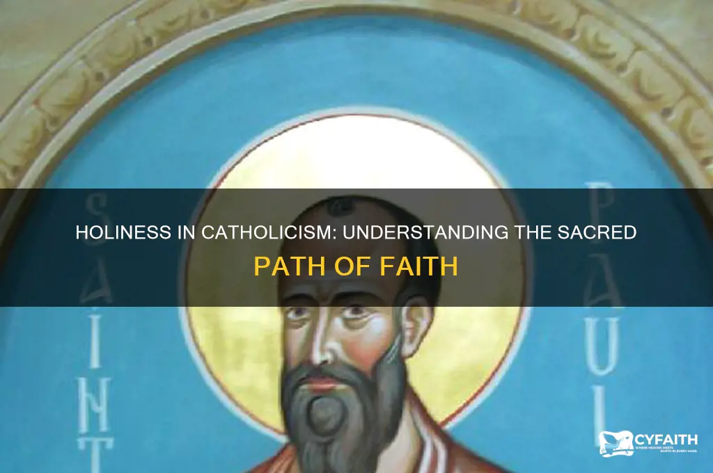 what does holiness look like catholic