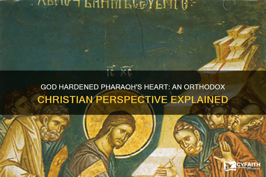 what does it mean god hardened pharaoh