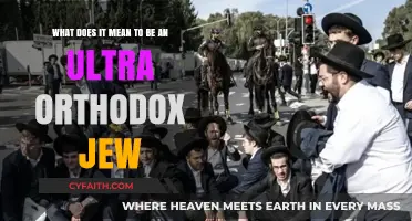Understanding Ultra-Orthodox Judaism: Beliefs, Practices, and Daily Life Explained