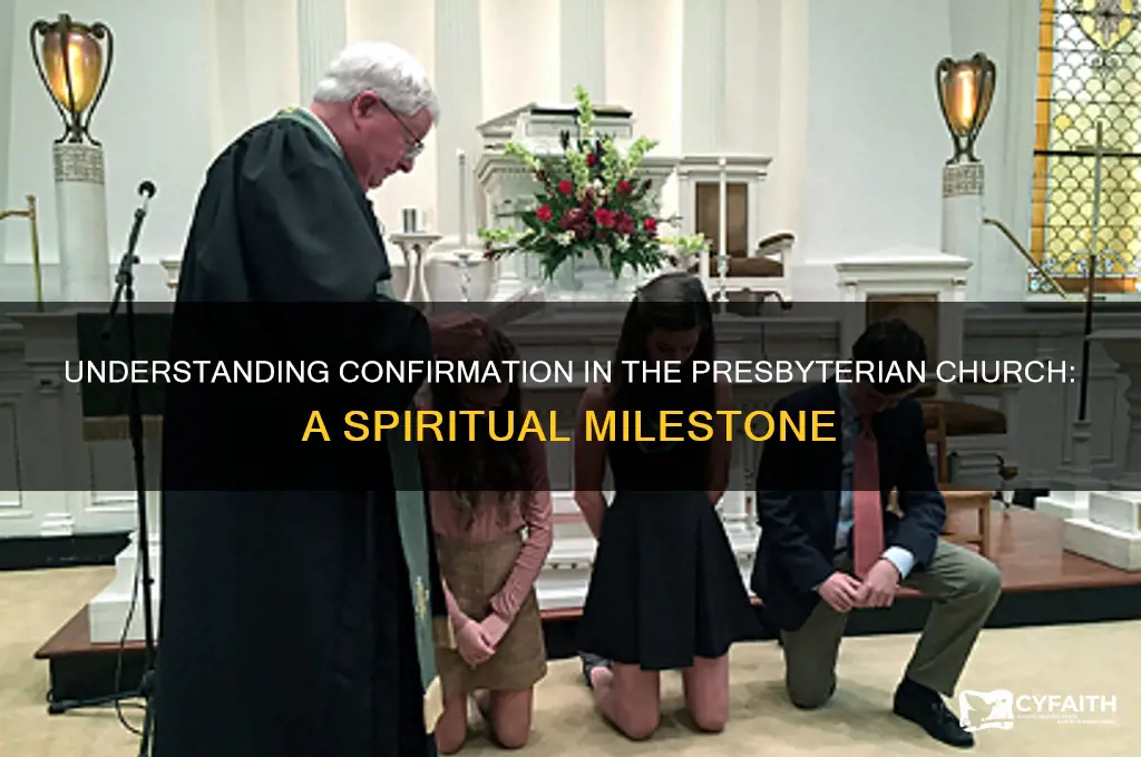 what does it mean to be confirmed in presbyterian church