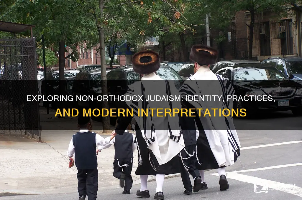 what does it mean to be non-orthodox jew
