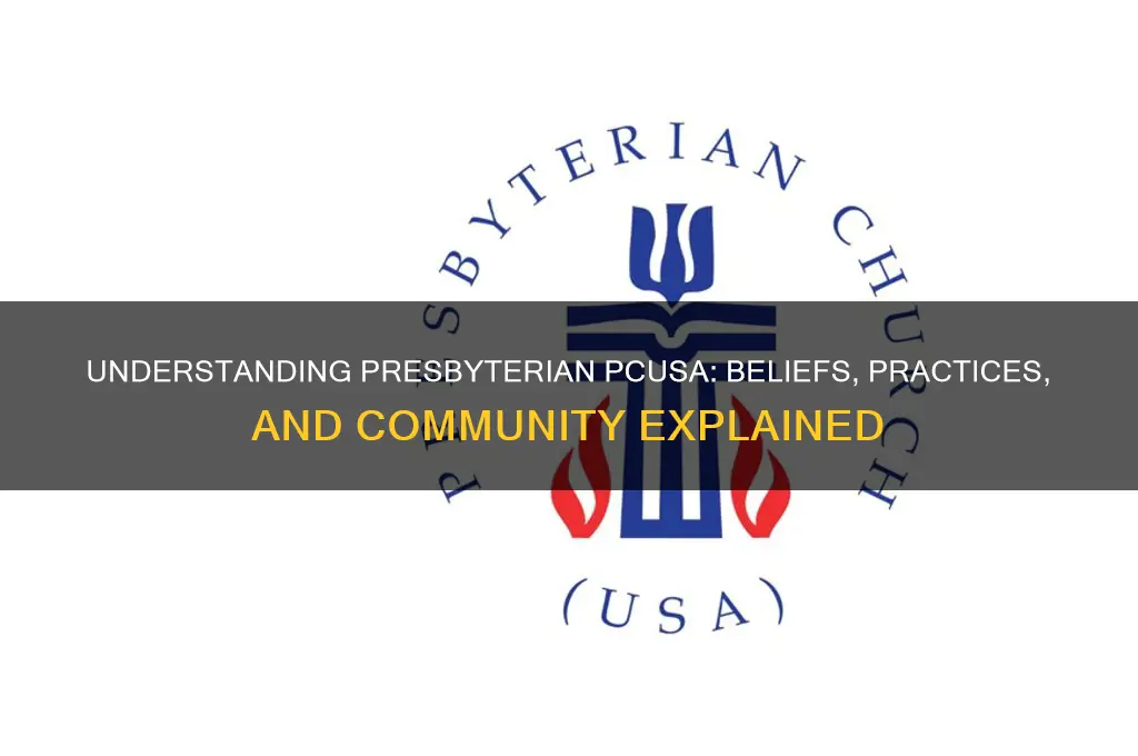what does it mean to be presbyterian pcusa
