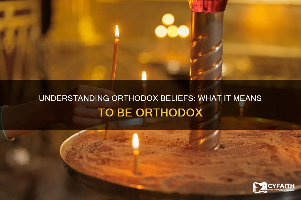 what does it mean when i person is a orthodox