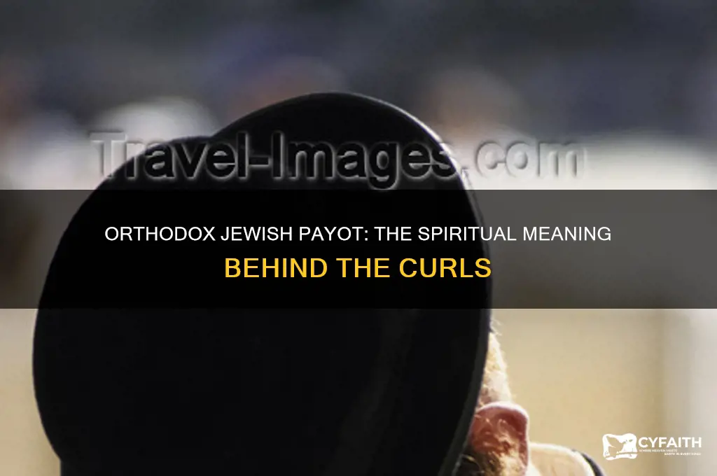what does it mean when orthodox jew cuts curls