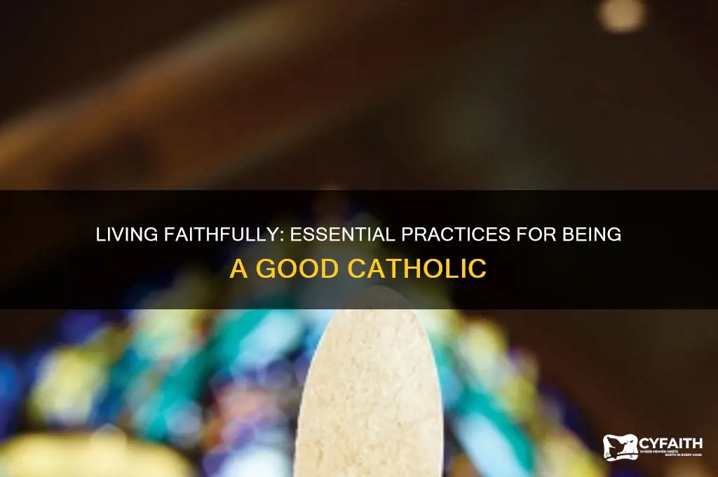 what does it to be a good catholic