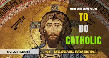 Catholic Call to Action: Jesus' Commandments for Faithful Living