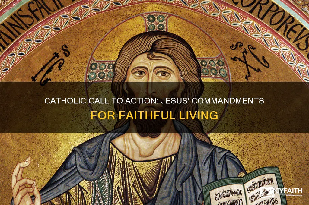 what does jesus ask us to do catholic