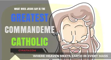 Jesus' Greatest Commandment: Catholic Insights on Love and Faith