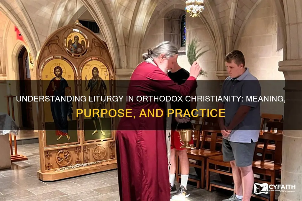 what does liturgy mean orthodox