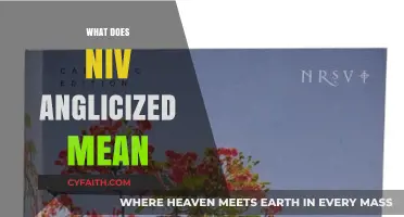 Understanding Niv Anglicized: A Comprehensive Guide to Its Meaning and Usage