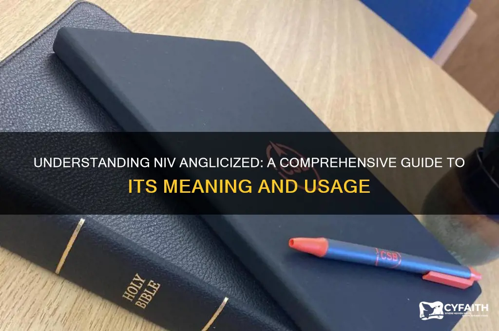 what does niv anglicized mean