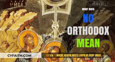 Understanding 'No Orthodox': Exploring the Meaning and Implications of the Term