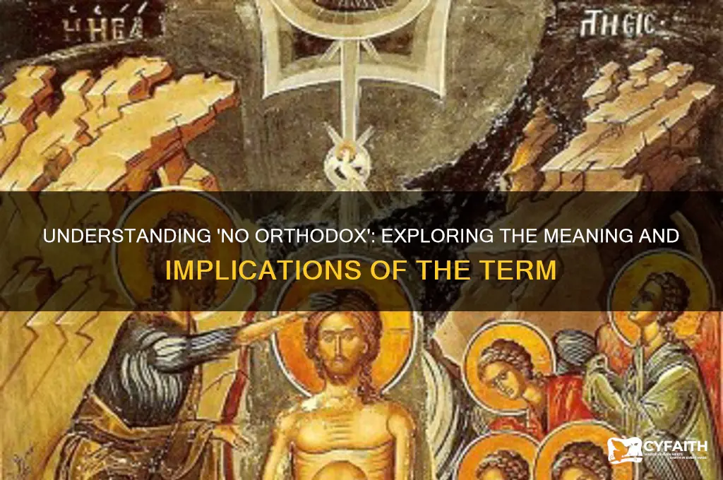 what does no orthodox mean