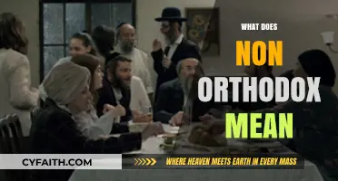 Understanding Non-Orthodox: Exploring Diverse Beliefs Beyond Traditional Practices