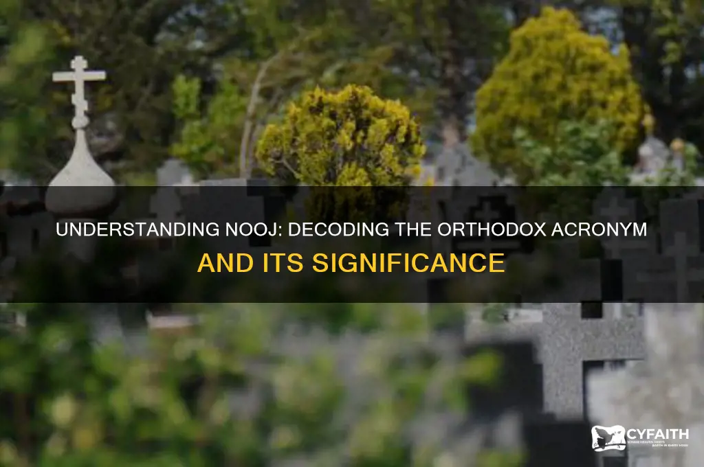 what does nooj stand for orthodox