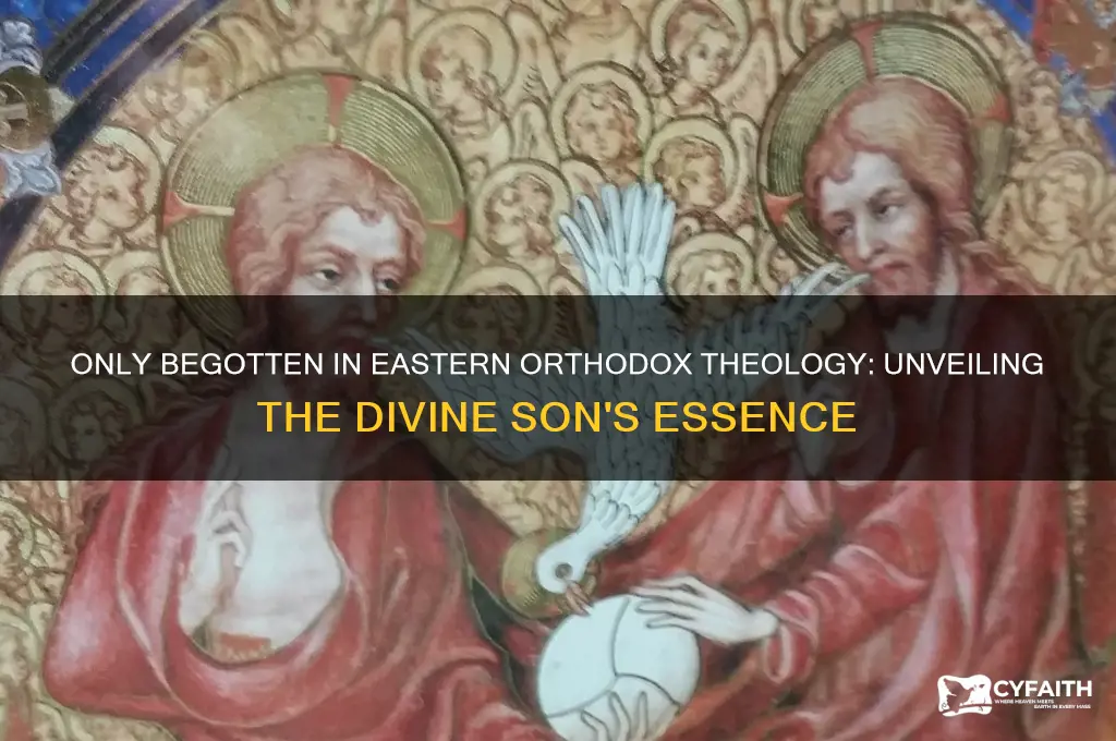 what does only begotten mean eastern orthodox