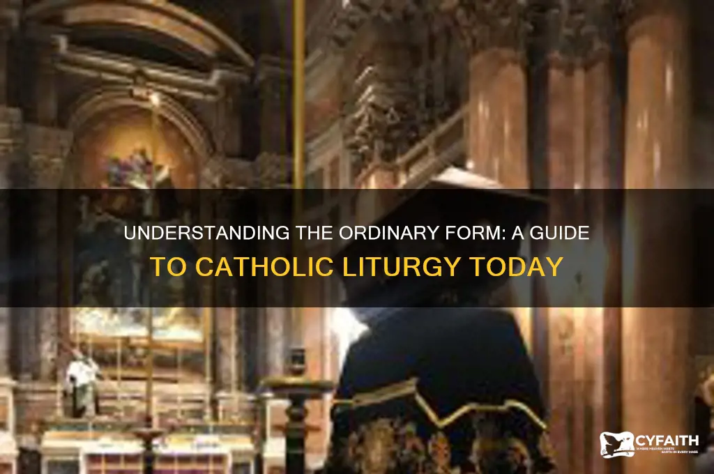 what does ordinary form catholic