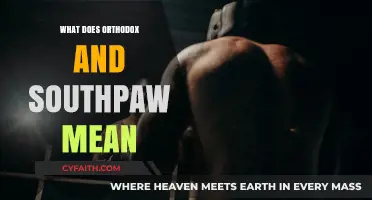 Orthodox vs. Southpaw: Decoding Boxing Stances and Their Meanings