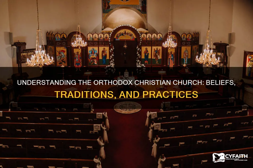 what does orthodox christian church mean