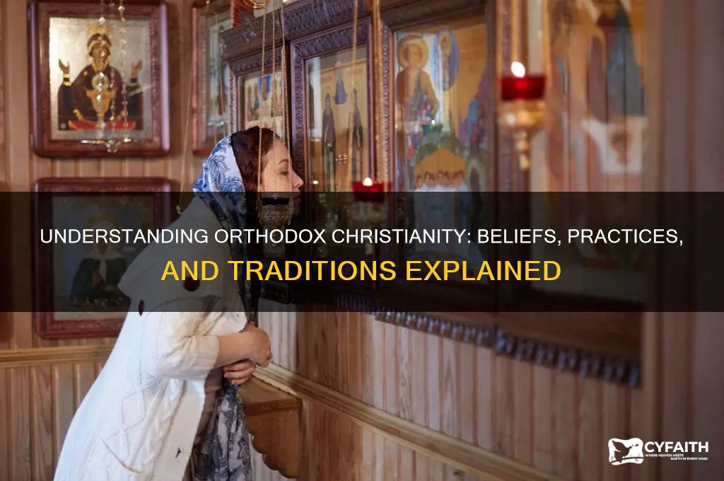 what does orthodox christian