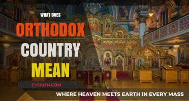 Understanding the Term: What Does Orthodox Country Truly Mean?