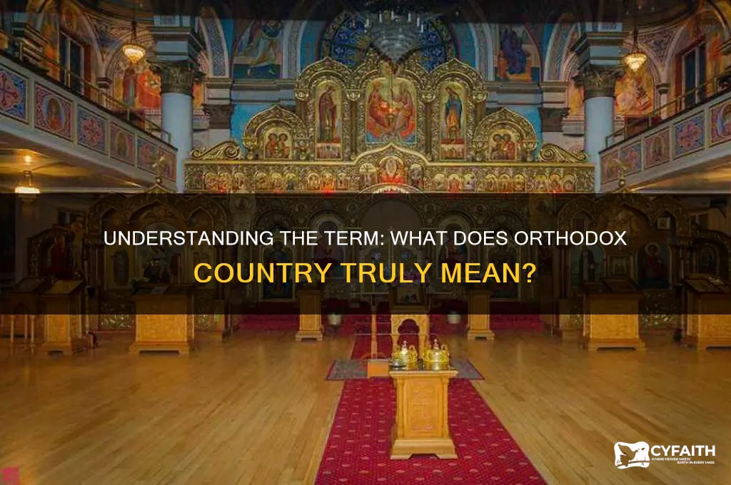 what does orthodox country mean