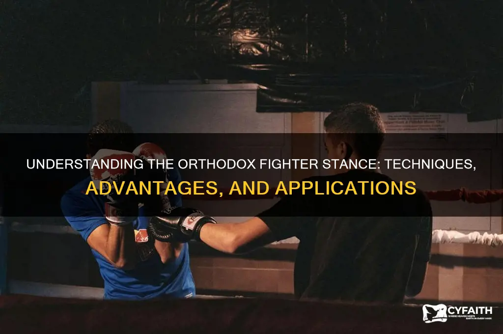 what does orthodox fighter meaning