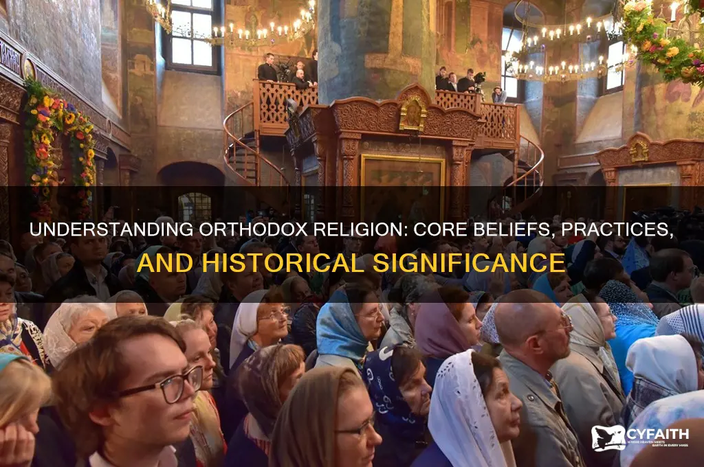 what does orthodox in religon mean