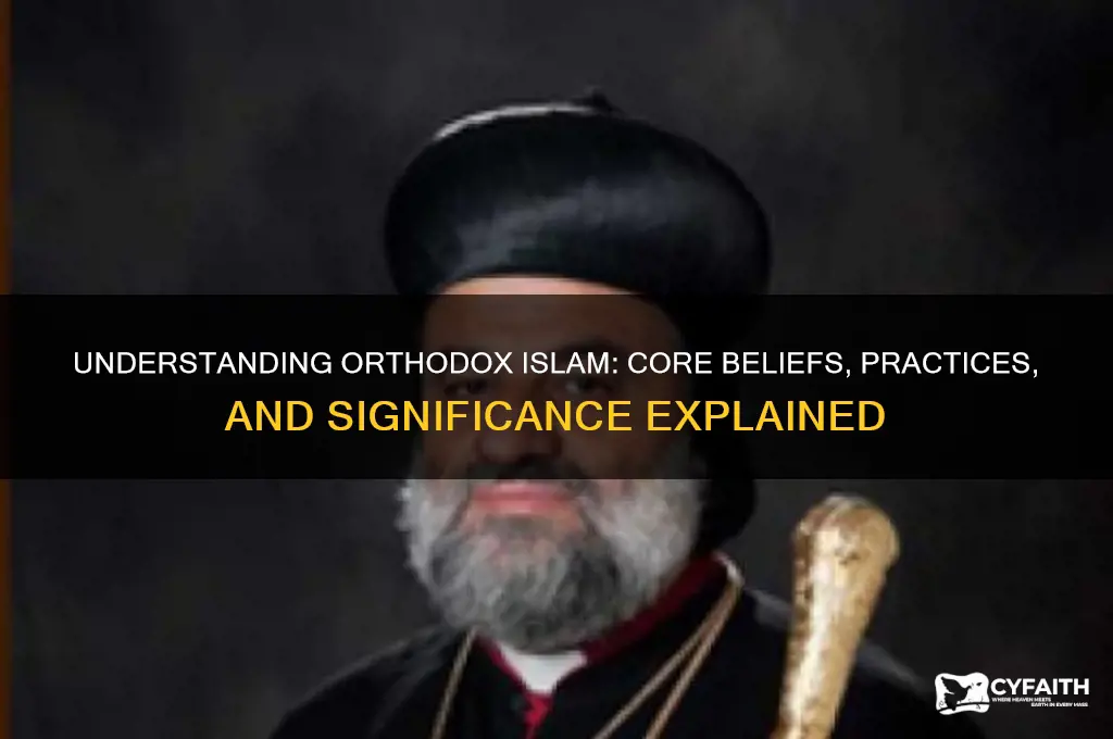 what does orthodox islam mean