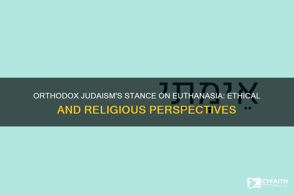what does orthodox judaism say about euthanasia