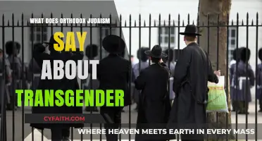 Orthodox Judaism's Perspective on Transgender Identity and Halacha