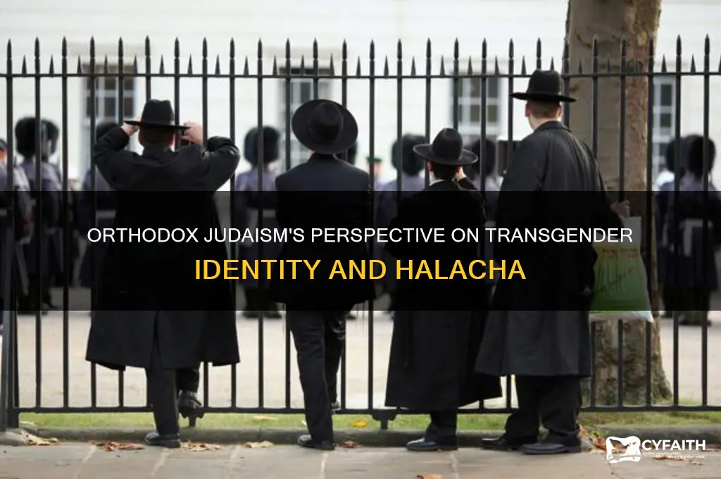 what does orthodox judaism say about transgender