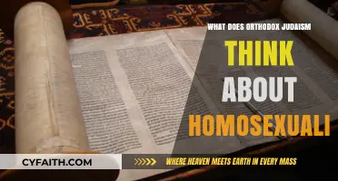 Orthodox Judaism's Perspective on Homosexuality: Beliefs and Practices Explained