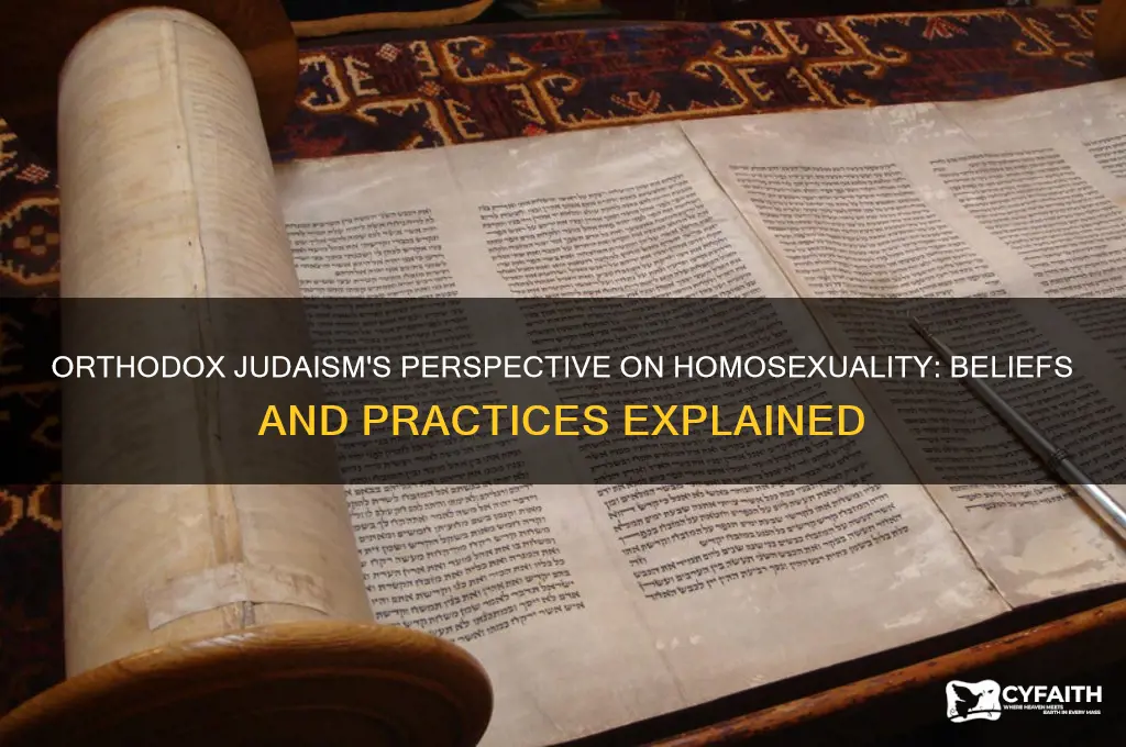 what does orthodox judaism think about homosexuality