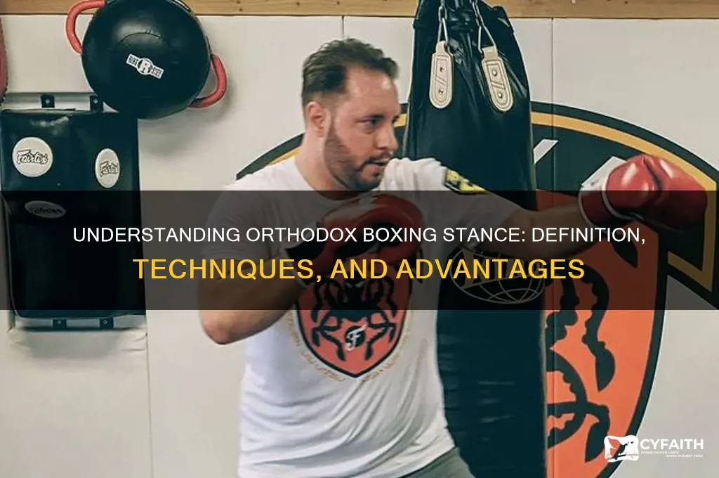 what does orthodox mean in boxing