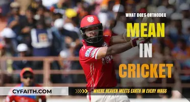 Understanding Orthodox Techniques in Cricket: A Comprehensive Guide