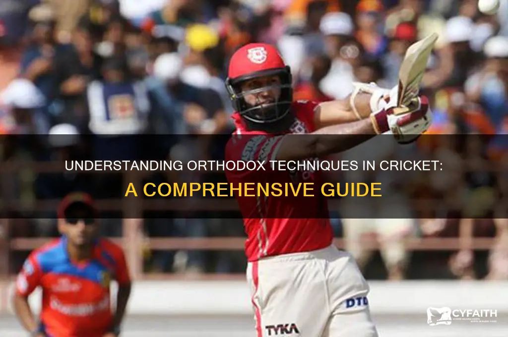 what does orthodox mean in cricket