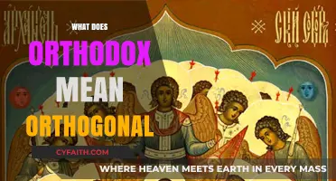 Orthodox vs. Orthogonal: Unraveling the Confusion and Key Differences