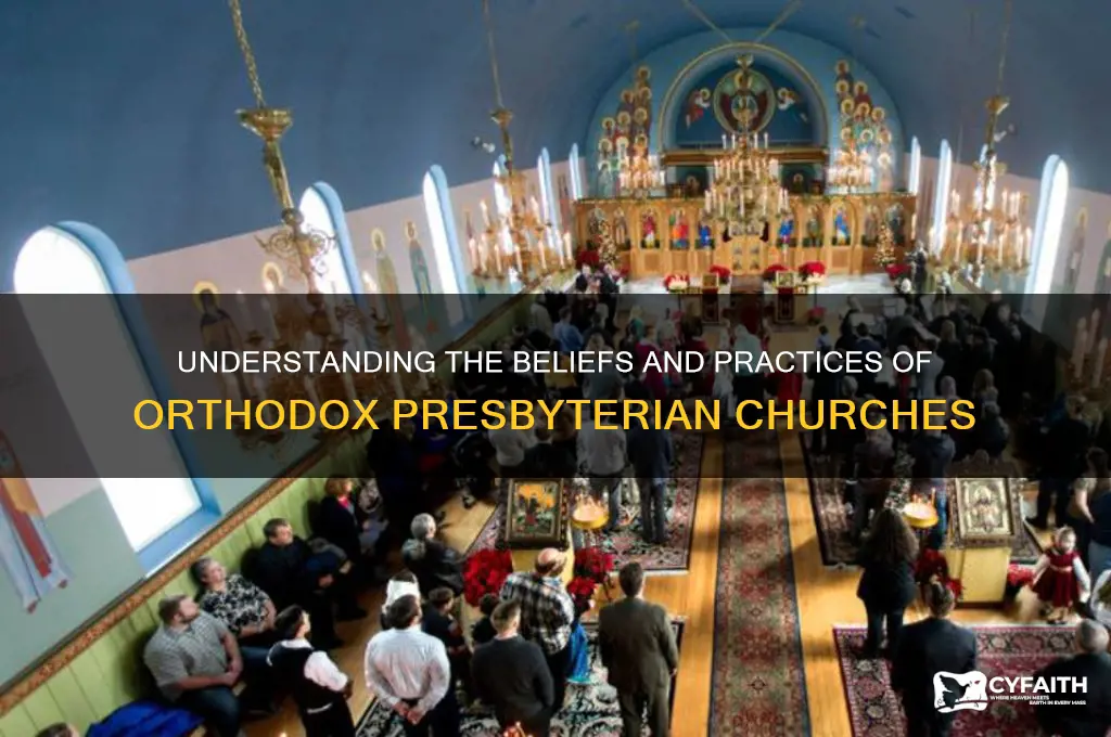 what does orthodox presbyterian mean