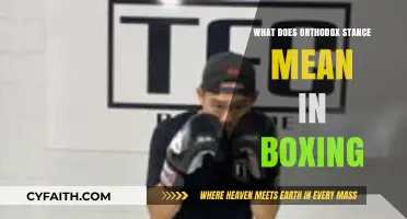 Understanding the Orthodox Stance: Boxing Fundamentals and Techniques Explained