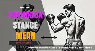 Understanding the Orthodox Stance: Boxing Fundamentals and Techniques Explained