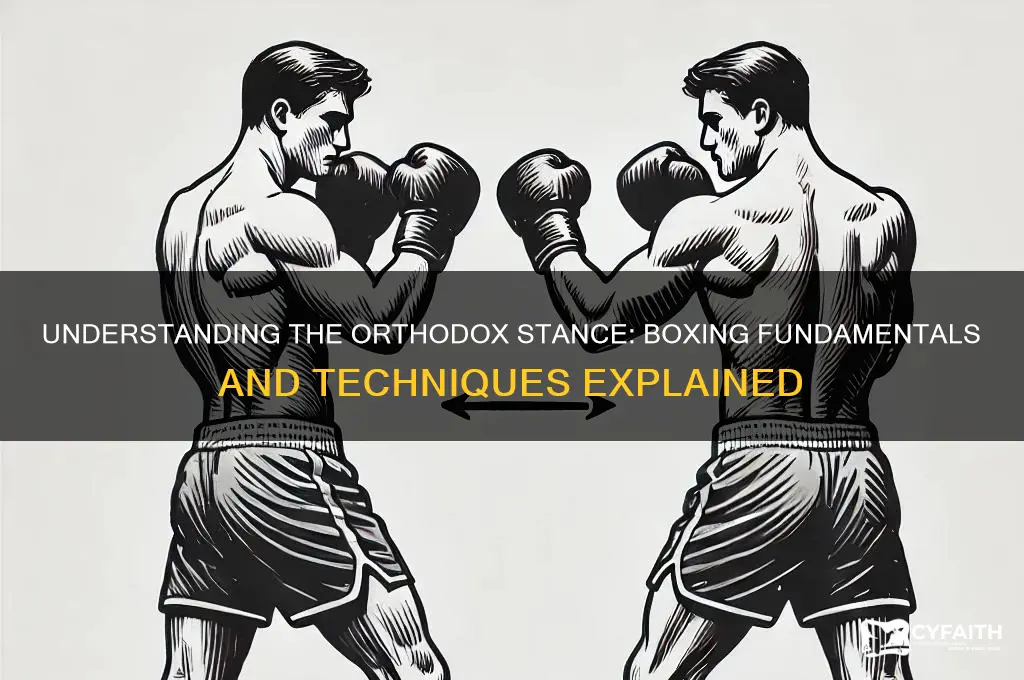 what does orthodox stance mean