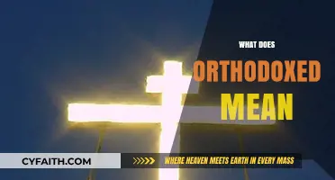 Understanding the Meaning and Significance of Being Orthodoxed