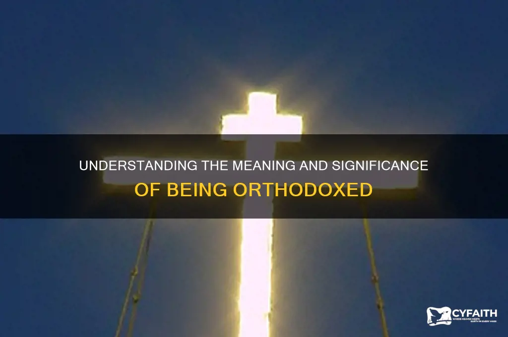 what does orthodoxed mean