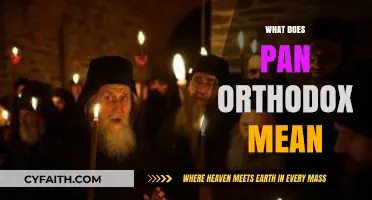 Understanding Pan-Orthodox Unity: Meaning, Significance, and Global Impact