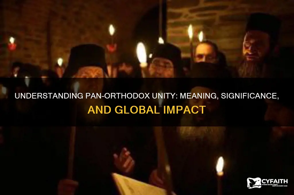 what does pan orthodox mean