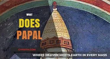 Understanding the Meaning and Significance of Papal Authority Today