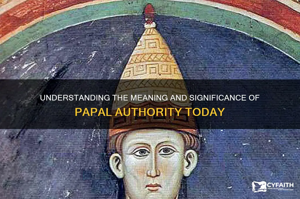 what does papal