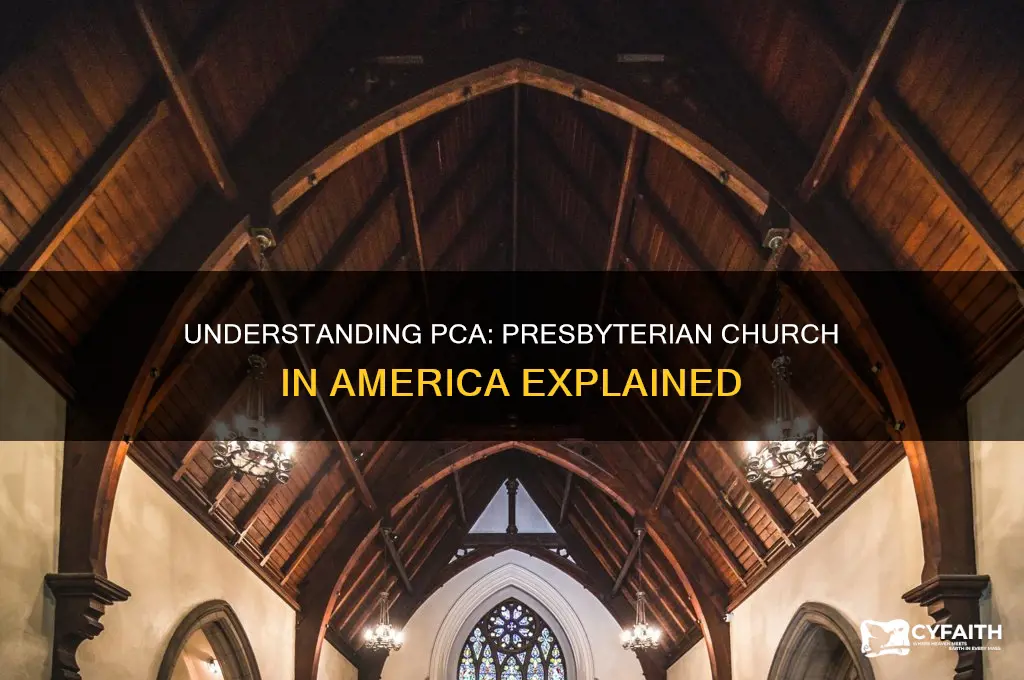 what does pca stand for in the presbyterian church