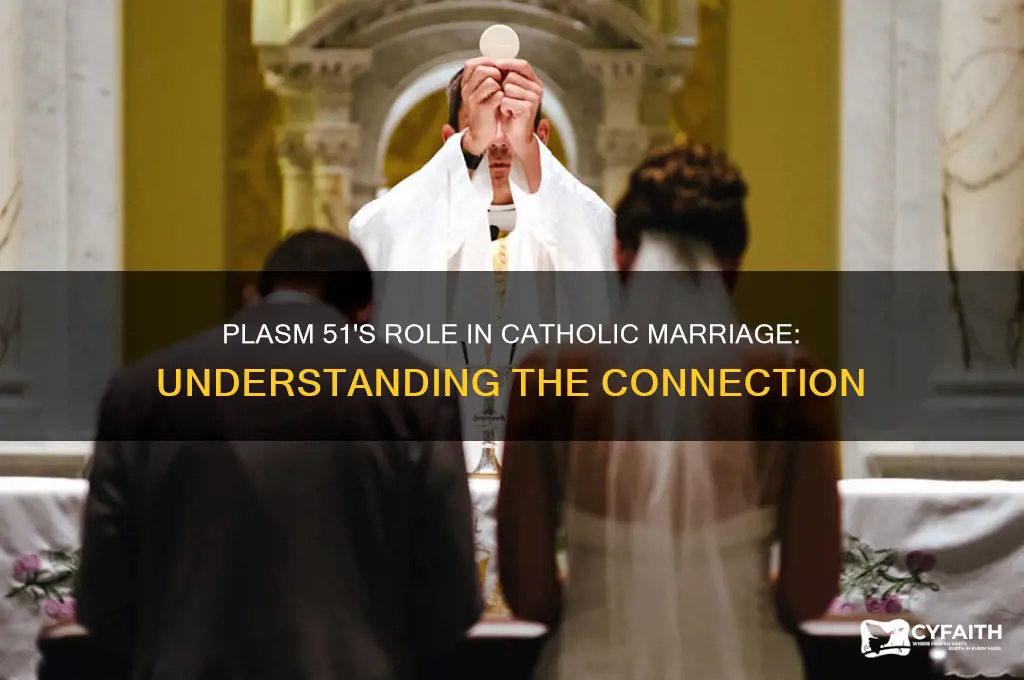 what does plasm 51 have to do with marriage catholic